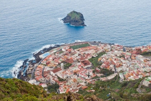 Tenerife: Local Villages & Teide National Park Tour