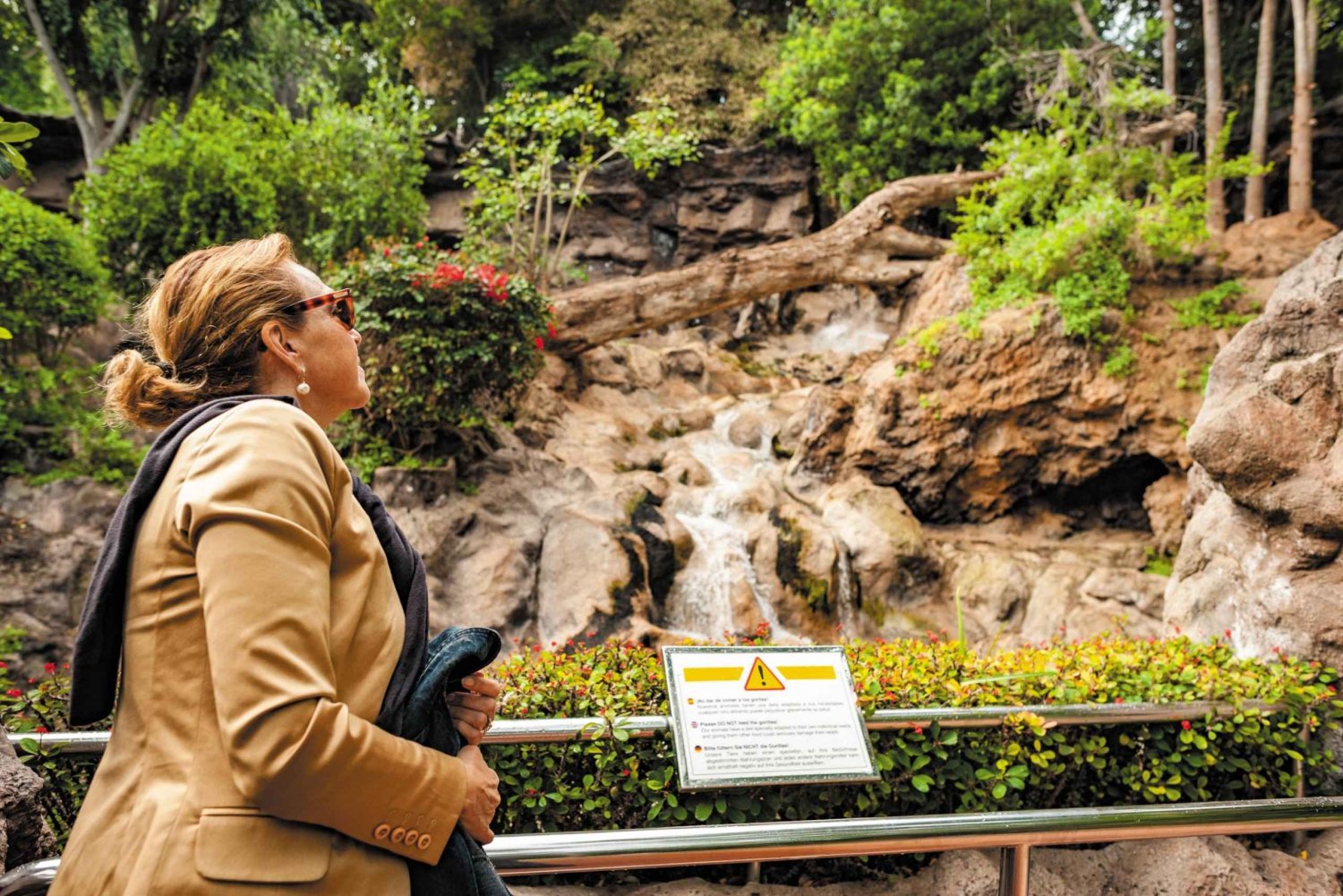 From South Tenerife: Loro Park Zoo Ticket & Hotel Transfers