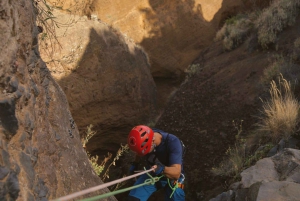 Tenerife : Los Arcos Canyoning Tour avec guide