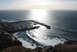 Tenerife: Los Gigantes Self-Drive Slingshot Tour
