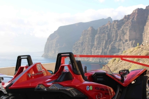 Tenerife: Los Gigantes Self-Drive Slingshot Tour