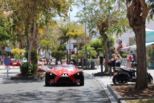 Tenerife: Los Gigantes Self-Drive Slingshot Tour