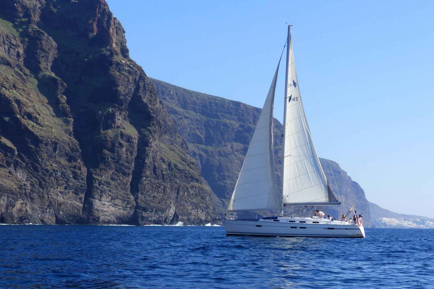 Los Gigantes Whale Watching Cruise by Sail Boat