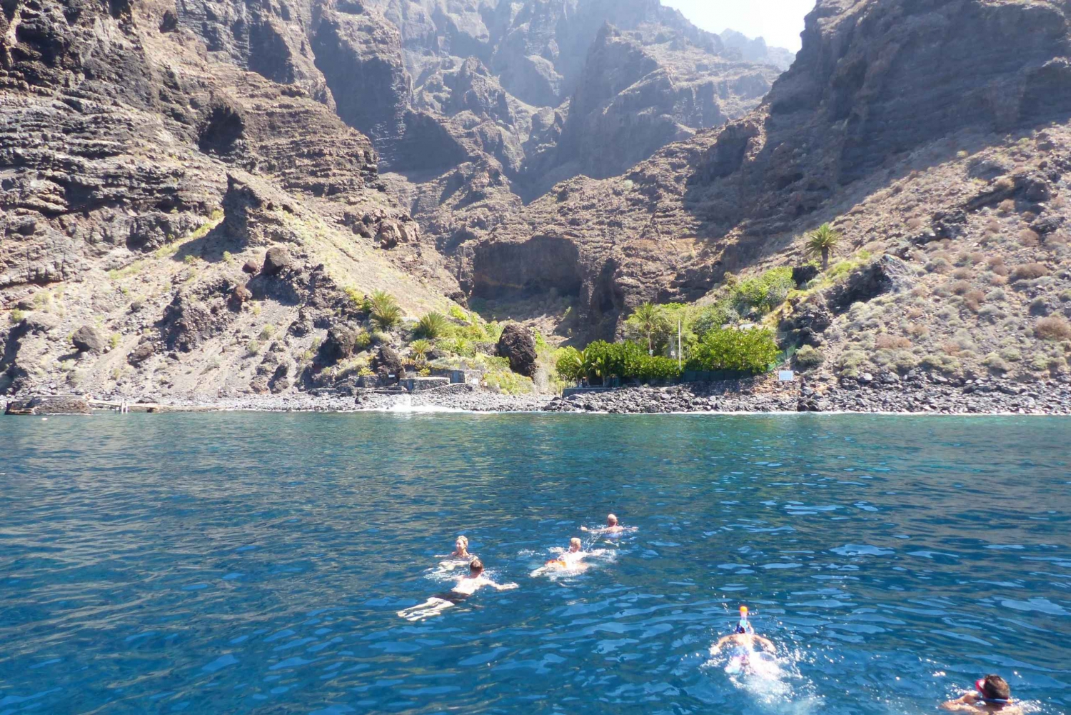 Tenerife: Los Gigantes Whale Watching Cruise by Sail Boat