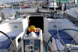 Tenerife: Excursión privada de lujo para avistar ballenas y delfines