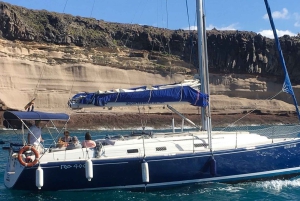 Tenerife : Visite privée de luxe pour observer les baleines et les dauphins