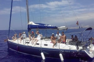 Tenerife : Visite privée de luxe pour observer les baleines et les dauphins