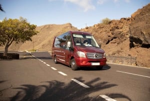 Tenerife: Masca and Teide National Park VIP Bus Tour