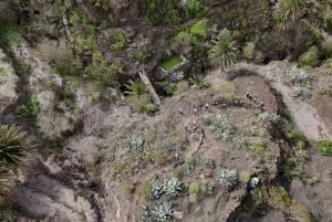 Tenerife: Masca Canyon Descent with Audio Guide and Boat Transfer