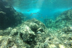 Tenerife: Masca, Los Gigantes e piscine naturali + picnic