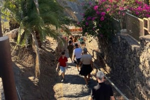 Tenerife: Masca, Los Gigantes og naturlige pools + picnic