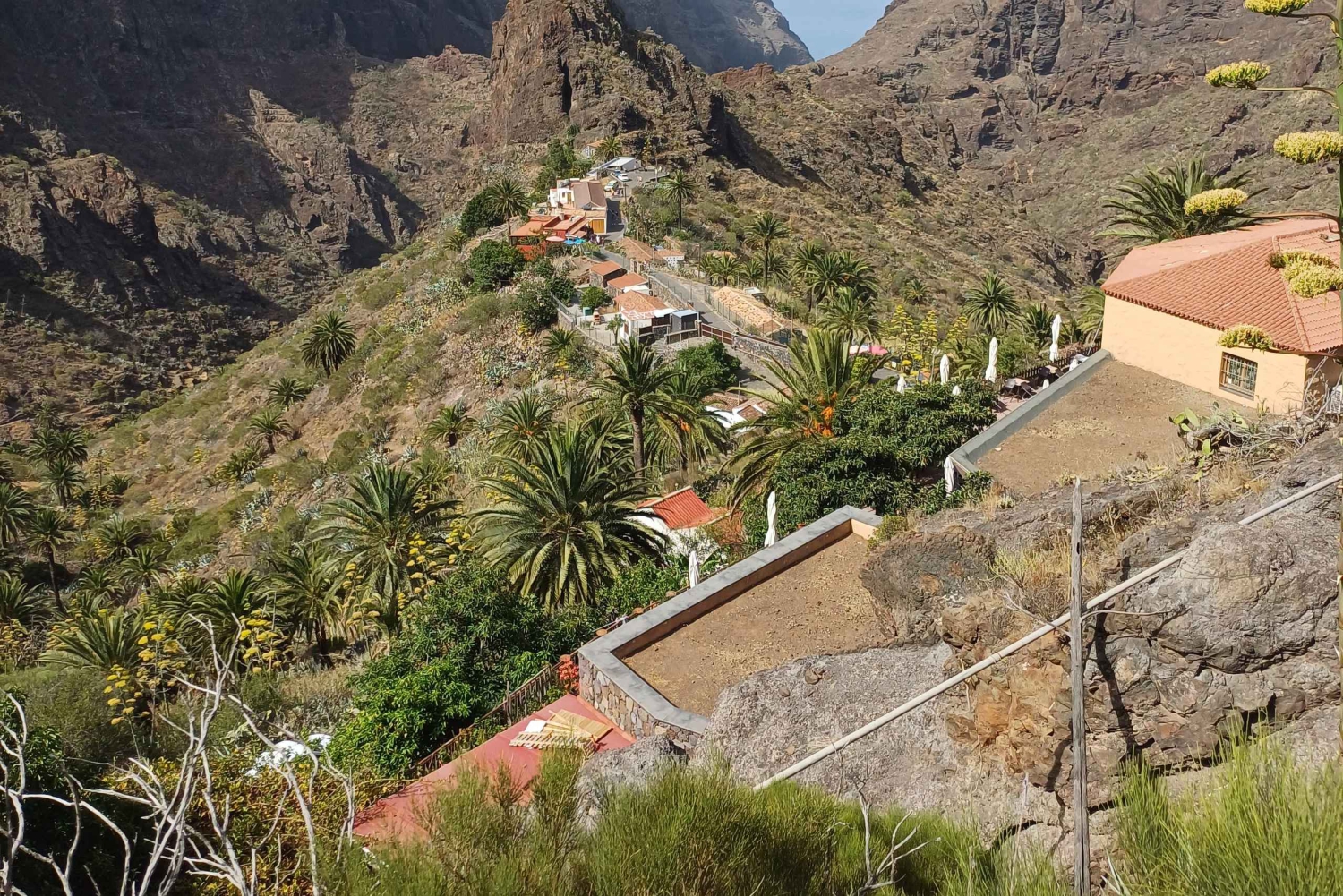 Tenerife: Masca, Los Gigantes og naturlige bassenger privat omvisning