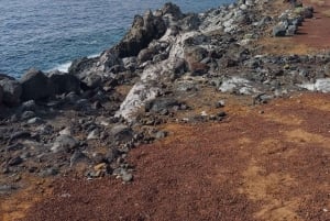 Tenerife: Masca, Los Gigantes & Natural Pools Private Tour