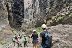 Tenerife : Masca ravine: Descent & boat trip