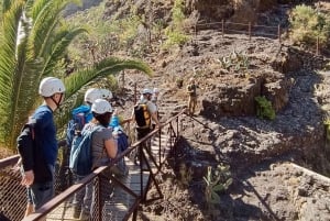 Tenerife : Masca ravine: Descent & boat trip