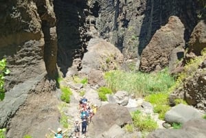 Tenerife : Masca ravine: Descent & boat trip