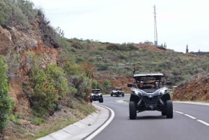 Tenerife: MORNING - 3H Buggy tour of Teide