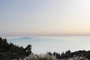 Tenerife: MORNING - 3H Buggy tour of Teide