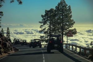 Teneriffa: VORMITTAG – 3-stündige Buggy-Tour auf dem Teide