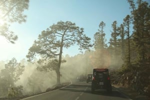 Teneriffa: VORMITTAG – 3-stündige Buggy-Tour auf dem Teide
