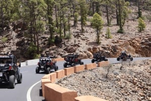 Teneriffa: VORMITTAG – 3-stündige Buggy-Tour auf dem Teide
