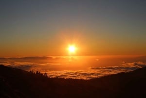 Tenerife: Morning or Sunset Teide Buggy Tour