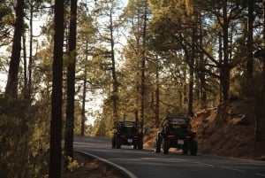 Tenerife: Morning or Sunset Teide Buggy Tour