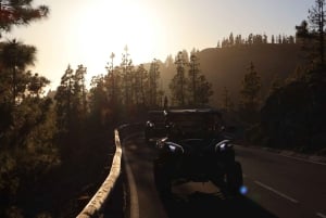 Tenerife: Morning or Sunset Teide Buggy Tour
