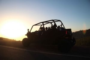 Tenerife: Teide Guided Family Morning or Sunset Buggy Tour
