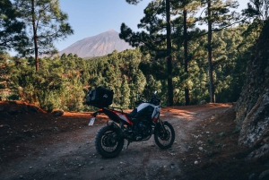 Tenerife: Guided Motorcycle Tour - Off Road