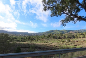 Tenerife: Mount Teide Buggy Tour
