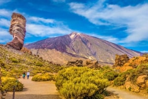 From South Tenerife: Mount Teide Hiking Day Trip & Cable Car