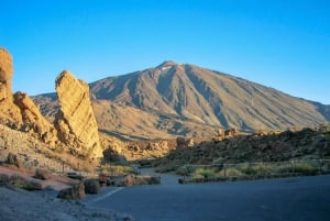 From South Tenerife: Mount Teide Hiking Day Trip & Cable Car