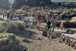 Tenerife: Mount Teide Morning Tour & Picnic over the clouds