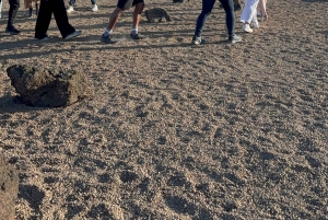 Tenerife: Mount Teide Morning Tour & Picnic over the clouds