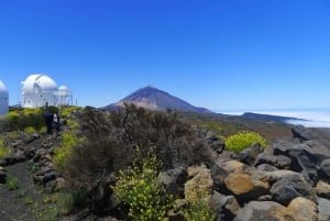 Tenerife: Mount Teide Observatory Astronomical Tour