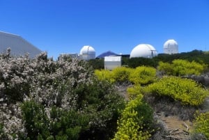 Tenerife: Mount Teide Observatory Guided Tour
