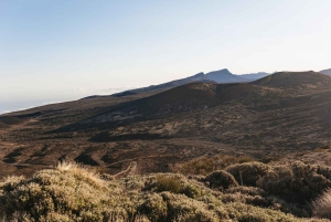 Teneriffa: Führung durch das Observatorium des Teide