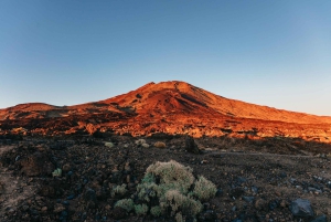 Tenerife : Mont Teide : visite nocturne et coucher de soleil avec prise en charge