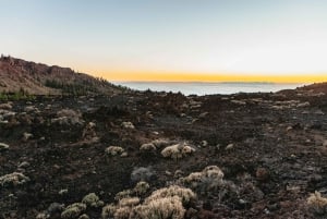 Tenerife : Mont Teide : visite nocturne et coucher de soleil avec prise en charge