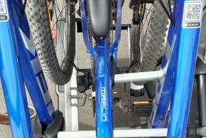 Teneryfa: Wypożyczalnia rowerów górskich z dostawą do hotelu