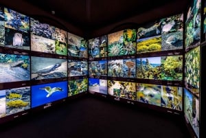 Tenerife: Ingresso para o Museu MUNA e visita à Lenda do Teide