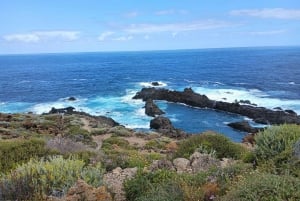 Tenerife: North Coast Landscapes Private Day Tour
