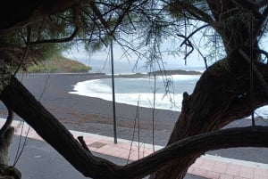 Tenerife: Excursão privada de um dia às paisagens da costa norte