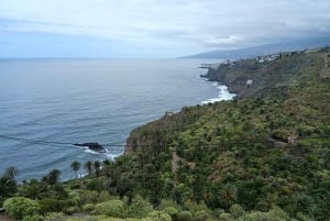 Tenerife: North Coast Landscapes Private Day Tour