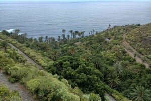 Tenerife: Excursión Privada de un Día por los Paisajes de la Costa Norte