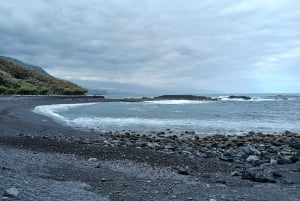 Tenerife: Excursión Privada de un Día por los Paisajes de la Costa Norte