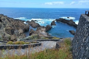 Tenerife: Excursión Privada de un Día por los Paisajes de la Costa Norte