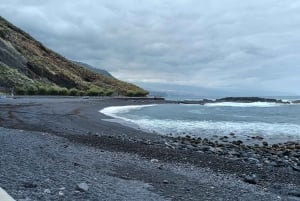 Tenerife: Excursión Privada de un Día por los Paisajes de la Costa Norte