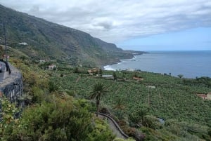 Tenerife: Excursión Privada de un Día por los Paisajes de la Costa Norte